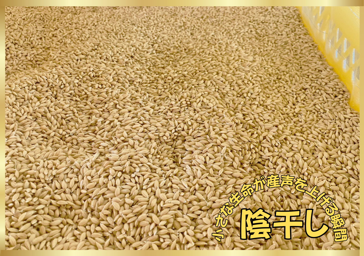 自然に寄り添い　一粒一粒に真心こめて　