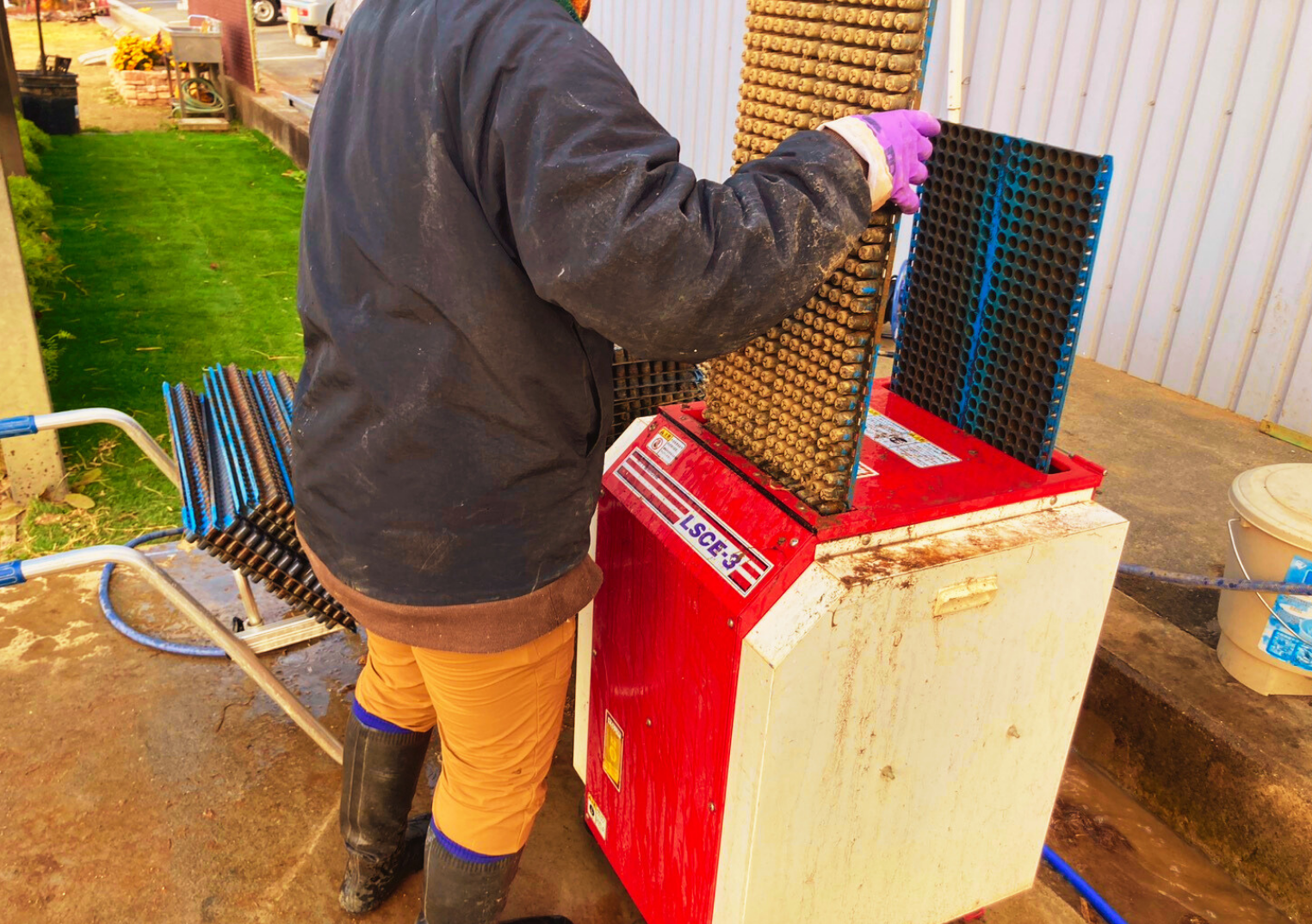 ゴシゴシしない農業。育苗箱洗浄という名の修行