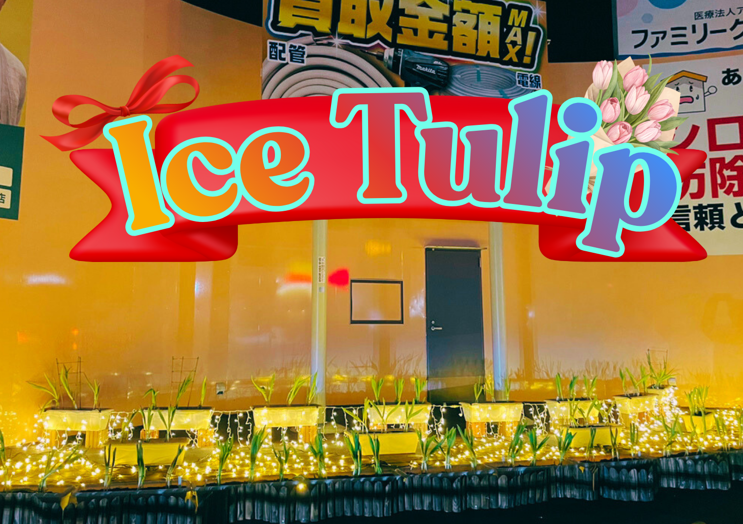 咲いたらあかんΣ(･ω･ﾉ)ﾉ！アイスチューリップ