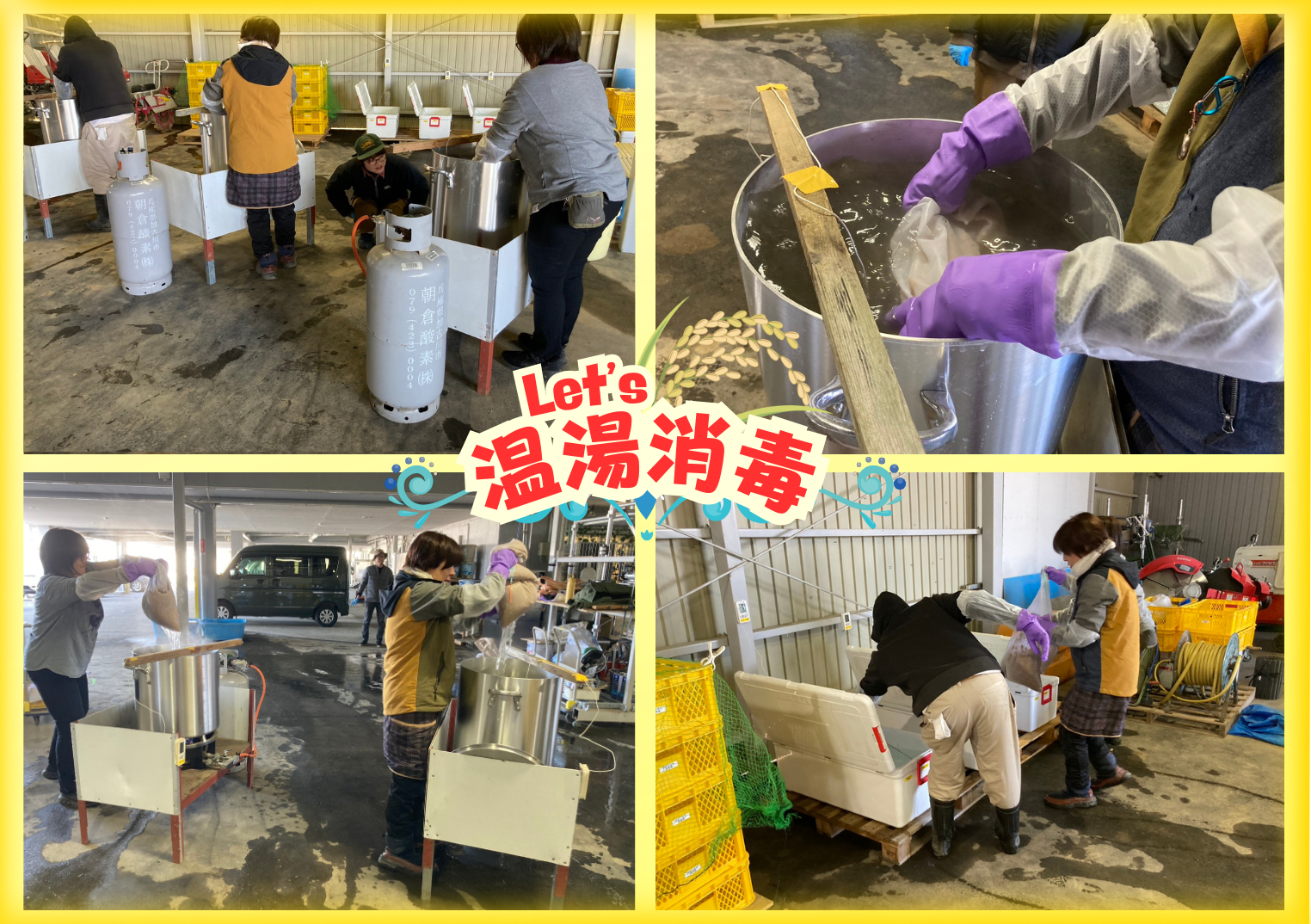 60℃のお風呂で種もみ消毒～昔ながらの伝統方法～