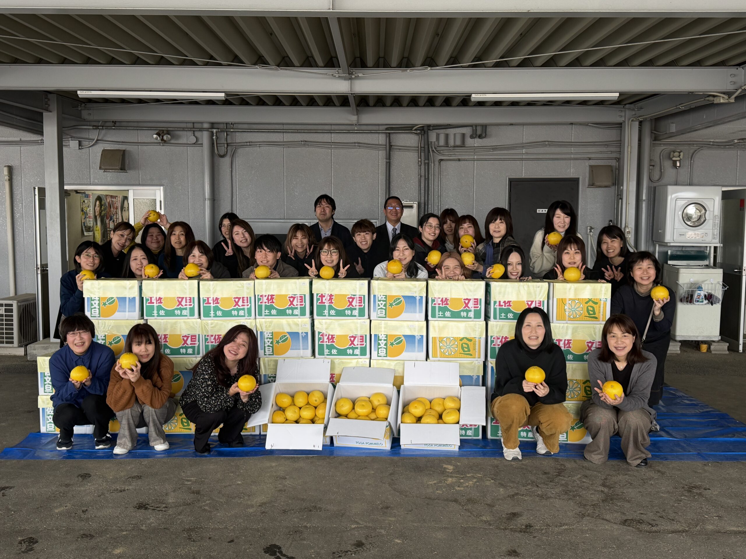 土佐文旦をいただきました！