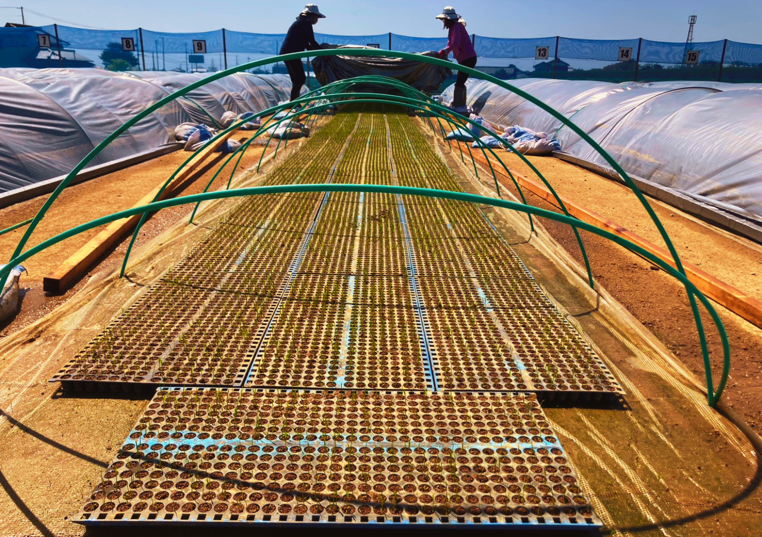 「２４時間気が抜けない」現場で起こる試練【春風・豪雨・猛暑】の数々